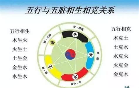 火克什么|五行相克